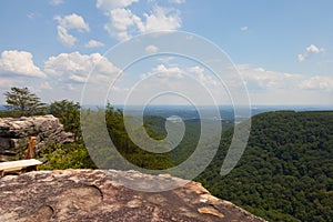 Laurel Snow Buzzard Point Overlook