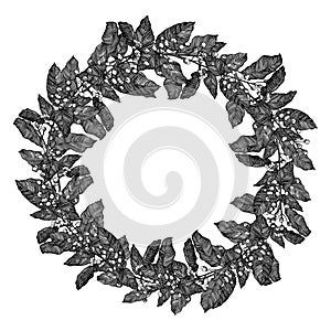 Laurel_wreath on the background