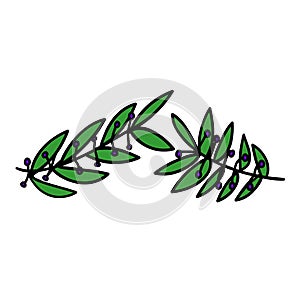Laurel wreath vector award branch victory icon. Winner laurel wreath vintage leaf emblem.