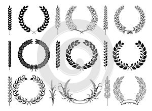 Laurel Wreaths and Branches Vector Collection