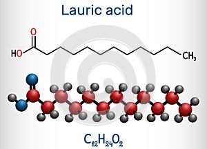 Lauric acid, dodecanoic acid, C12H24O2 molecule. It is a saturated fatty acid. Structural chemical formula and molecule model