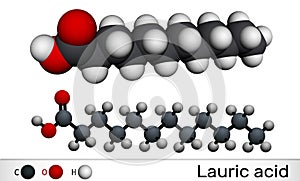 Lauric acid, dodecanoic acid, C12H24O2 molecule. It is a saturated fatty acid. Molecular model