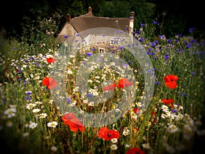 Laurie Lee's cottage, Slad, Gloucester