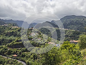 Laurissilva Forest Madeira photo