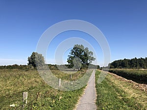 Lauwersmeer National Park