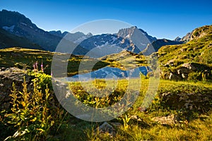 Lauzon Lake in the Ecrins National Park in summer. French Alps, Valgaudemar, Hautes-Alpes, France