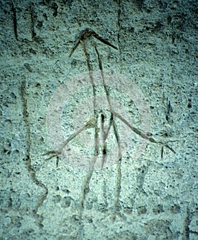 Lava Beds Stick Man Petroglyph