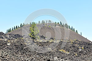 Lava Butte