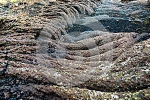 Lava cordata Pahoehoe sul vulcano Etna a Piano dei Dammusi photo