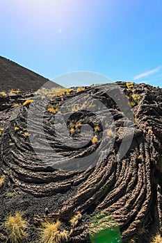 Lava cordata Pahoehoe sul vulcano Etna photo