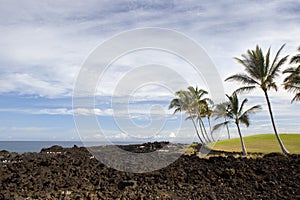 Lava crust of Kona coast, HI