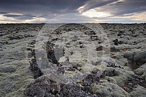 Lava field