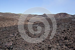 Lava field, Isabela Island, Galapagos photo