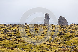 Lava field with lush green moss and rugged cliffs on seashore