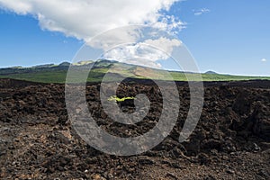 Lava field and mountain along hoapili trail