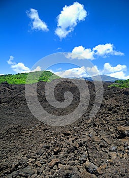 Lava field on Mt. Etna