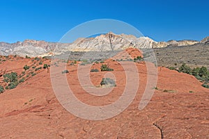 Lava Field Between the Red and White Sandstone