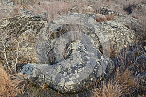 Lava field in Wudalianchi Global geopark in Northern China. Elephant`s trunk