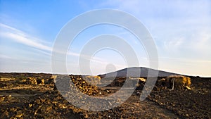 Lava fields around Erta Ale volcano, Danakil, Afar, Ethiopia