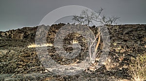 Lava fields around Erta Ale volcano, Danakil, Afar, Ethiopia