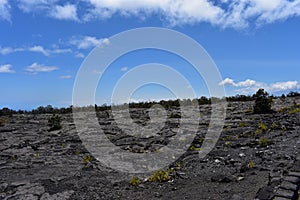 Lava fields on the Big Island in Hawaii with the Pacific Ocean in the background