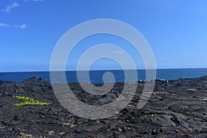 Lava fields on the Big Island in Hawaii with the Pacific Ocean in the background