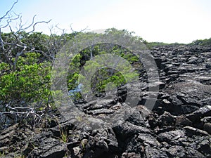 Lava fields, Punta Moreno, GalÃ¡pagos