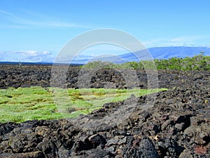 Lava fields, Punta Moreno, GalÃƒÂ¡pagos