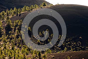 Lava flows and cinder cone