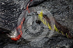 Lava on Hawaii`s Big Island