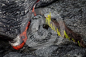 Lava on Hawaii`s Big Island