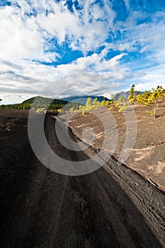 Lava landscape on the Cumbre Nueva in La Palma