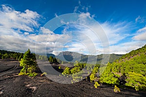 Lava landscape on the Cumbre Nueva in La Palma photo