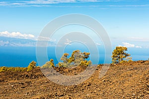 Lava landscape Teide volcano Tenerife Canary photo