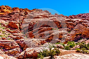 Lava-like Red Rocks in Red Rock Canyon National Conservation Area near Las Vegas, Nevada, USA