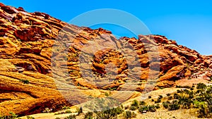 Lava-like Red Rocks in Red Rock Canyon National Conservation Area near Las Vegas, Nevada, USA