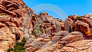 Lava-like Red Rocks in Red Rock Canyon National Conservation Area near Las Vegas, Nevada, USA