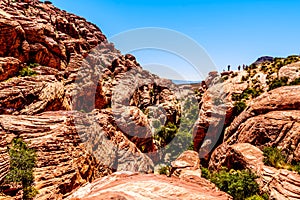 Lava-like Red Rocks in Red Rock Canyon National Conservation Area near Las Vegas, Nevada, USA