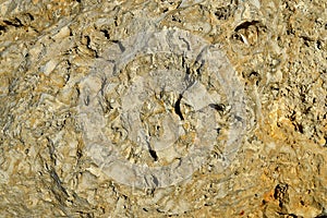 Lava Rock Background