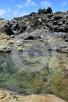 Lava Rock Natural Pool Along the Coast of Aruba