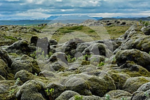 Lava rocks covered by moss with blue sky and mountains in the ba