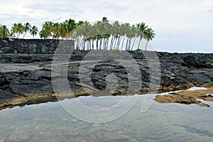 Lava rocks in Pu`uhonua o Honaunau the Place of Refuge Big Island of Hawaii