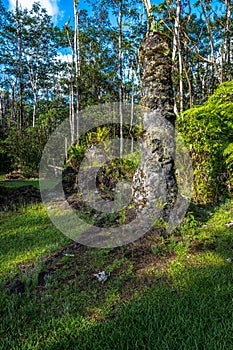 Lava Tree State Monument
