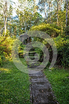 Lava Tree State Monument