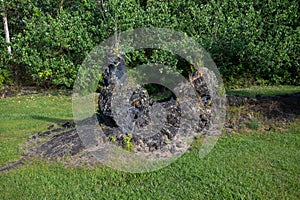 Lava Tree State Monument