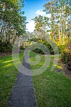 Lava Tree State Monument