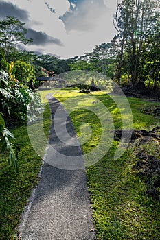 Lava Tree State Monument