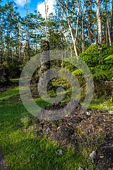 Lava Tree State Monument