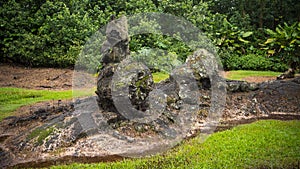 Lava Tree State Monument