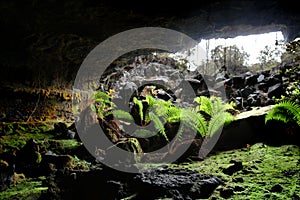 Lava Tube Cave Entrance 1